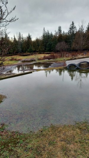 Back Lake Matthews.jpg