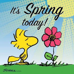 spring today.jpg
