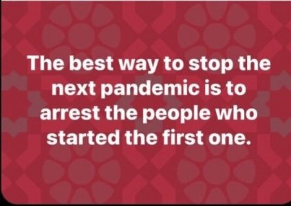 pandemic.jpg