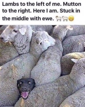 middle.jpg