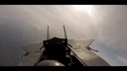 AthleticShockingHoneybadger-max-1mb (1).gif AthleticShockingHoneybadger-max-1mb (1).gif