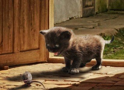 kittenwithmouse.jpg