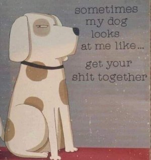 FB_IMG_1679326337319.jpg