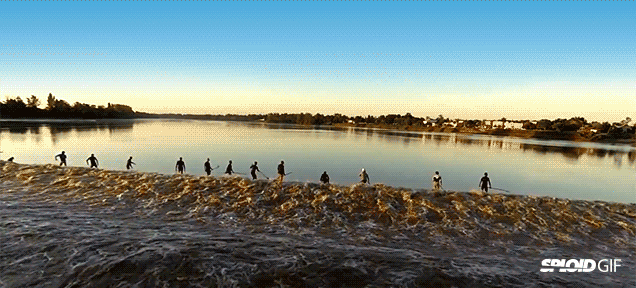 1.gif