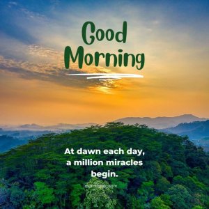 good-morning-nature-images-2.jpg