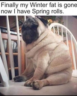 ROLLS.jpg