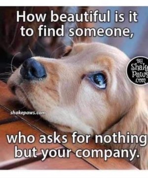 39D578EB-0F17-4CF5-9BC8-3EB517A43792.jpeg