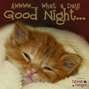 4f208c4144cb35ec1a3665e8b4574aee[1].jpg