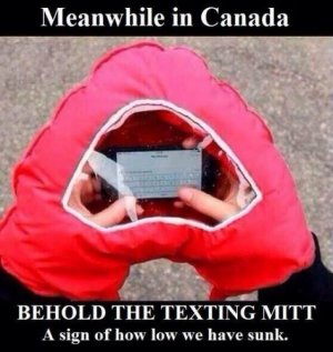 TextingMitt.jpg