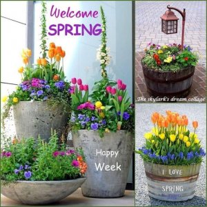 three spring.jpg
