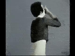 ClosedGlumFireant-size_restricted bbc.gif ClosedGlumFireant-size_restricted bbc.gif