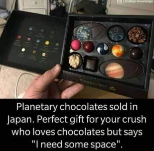335476813_598385538505191_725297603684313422_n.jpg
