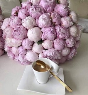 tumblr_81ae0cc7e068e820b7ab0125e0c4bd97_ca274450_1280.jpg