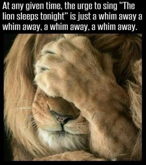 79f03b209b7cec828b98518de30f49d3.jpg