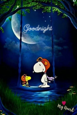 snoopy good night.jpg