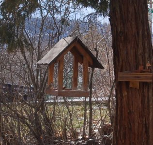 little buddies.jpg little buddies.jpg