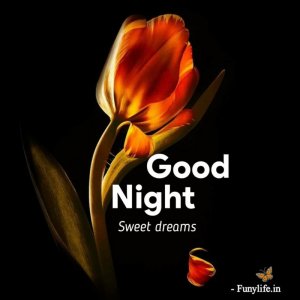 9_Good-night-images-www.funylife.in_-1024x1024.jpg