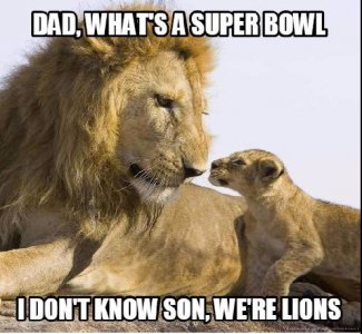 L1.JPG