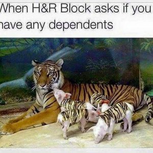 D545D4D9-5C99-4D35-B383-3D55029C5F84.jpeg