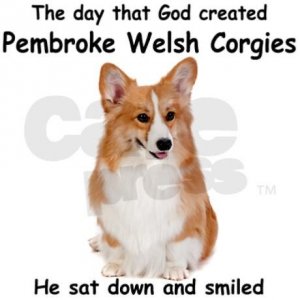 3669F88A-0CE8-43C0-8621-EA637386F164.jpeg