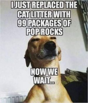 FB_IMG_1679621597955.jpg
