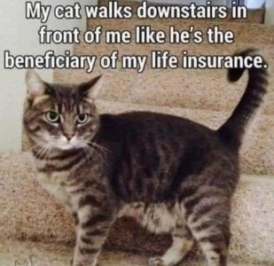 2D557153-D2F2-4988-A294-E0D8DBF2B0FC.jpeg