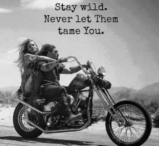 tame you.jpg tame you.jpg