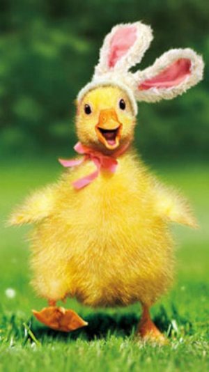 easter3.jpg