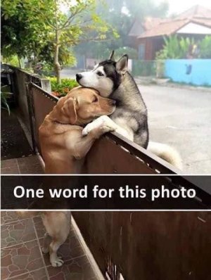 15CD08A8-F2F3-4997-89DB-DC06230DB0DF.jpeg