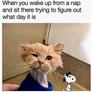 B3D4EF8A-DAB0-4CAD-8845-9711E947F1E0.jpeg
