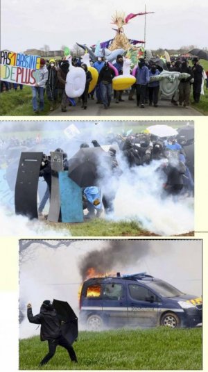 GREVE2.jpg