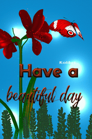 6d0f7fb0fb286b712c9a4d730687ce8b[1].gif