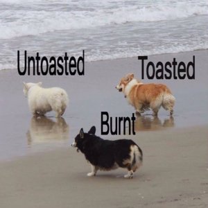 tumblr_oug11foHTy1wrt8hqo1_1280.jpg