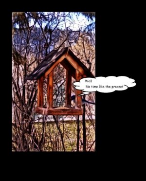 mine fin.jpg mine fin.jpg