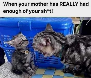 FB_IMG_1679463409422.jpg