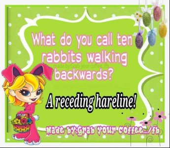 B3836A6E-6BAB-4187-A62C-699EC637EAFA.jpeg