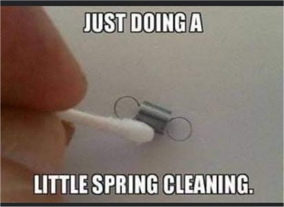 spring.jpg