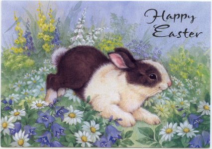 happy-easter-bunny-card-with-daisies.jpg