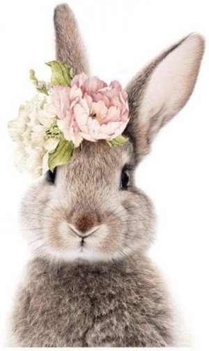 easter5.jpg