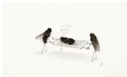 stretcher.jpg