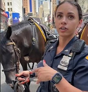attachment-TikTok-Wyoming-horse-now-NYPD-Officer1 (1).jpg