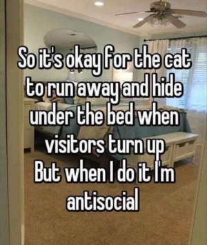 FB_IMG_1679978758319.jpg