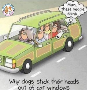 FB_IMG_1679978992118.jpg