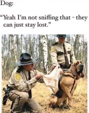 FB_IMG_1679978680026.jpg