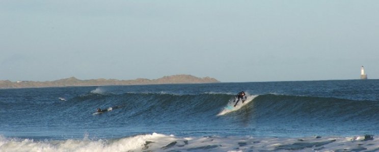 surfers.jpg