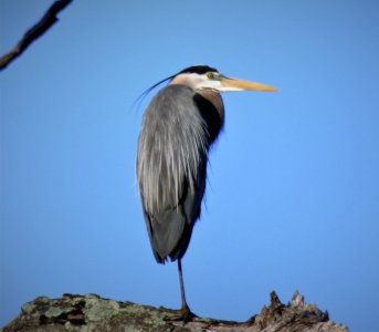 F03471B8-267E-4457-8AD8-04ACEB994567.jpeg