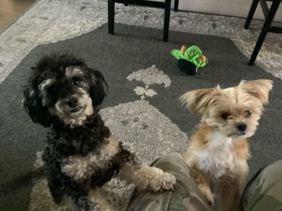 Sophia and Timi.jpg