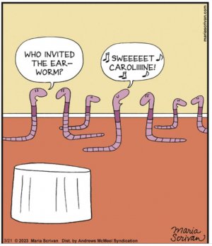 337242636_946195576835956_638771460084738194_n.jpg