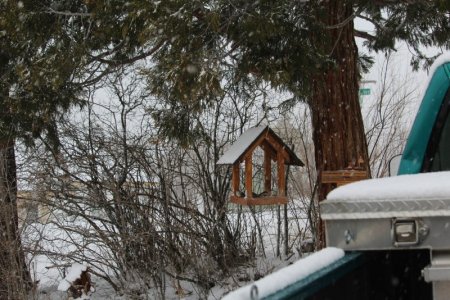 snow day 2.jpg snow day 2.jpg