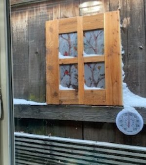 snow day.jpg snow day.jpg